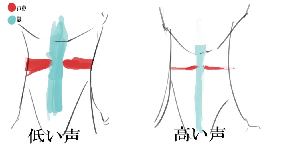 出来て当たり前のエッジボイスとは 出し方と効果と練習方法 Chemicalvocie Com